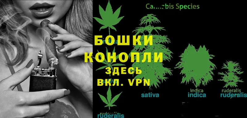 Бошки марихуана SATIVA & INDICA  Юрьев-Польский 